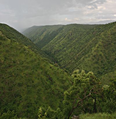 The Moyar Gorge